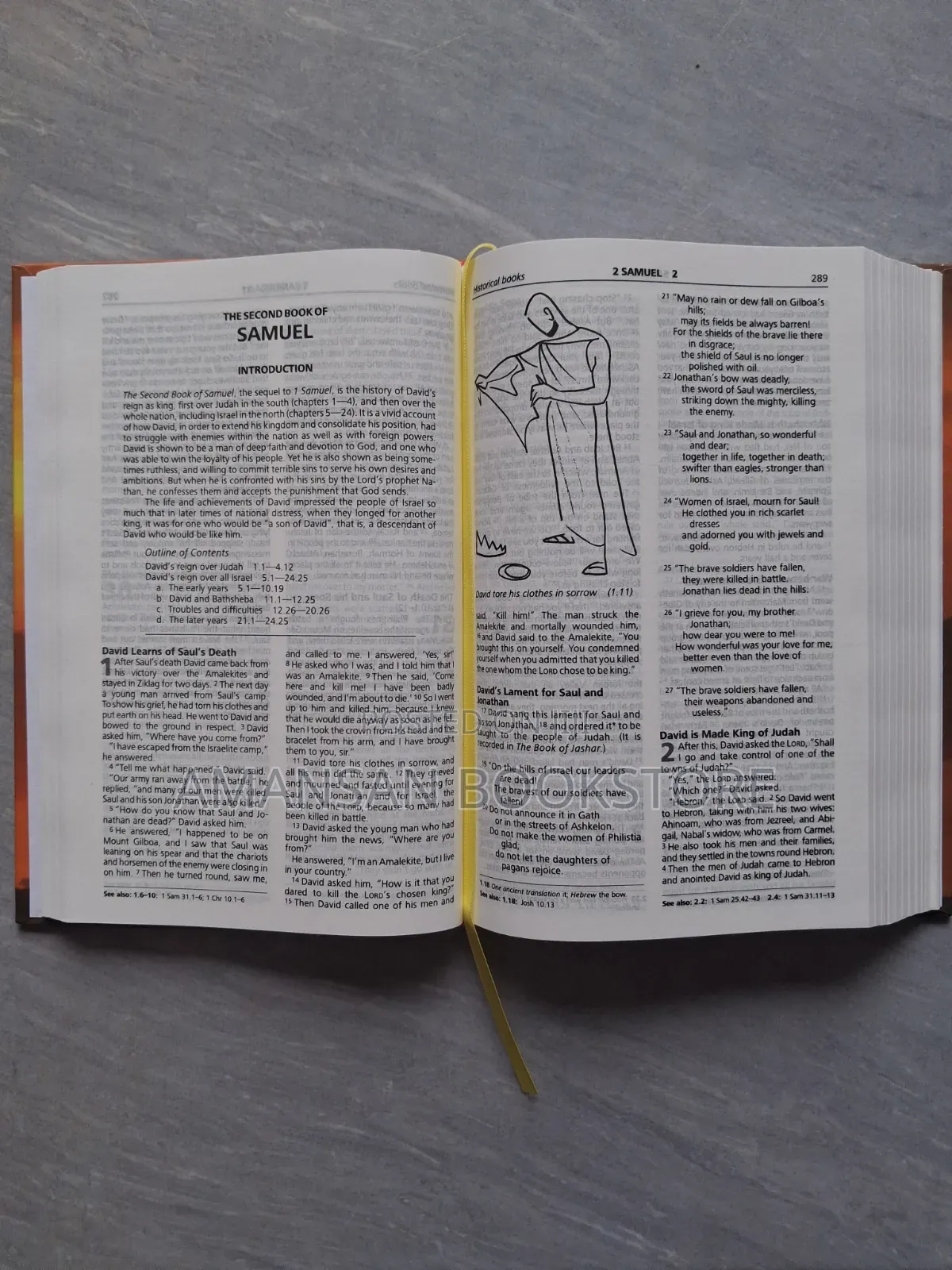 Illustrated Good News Bible With Words of Christ in Red (Medium)