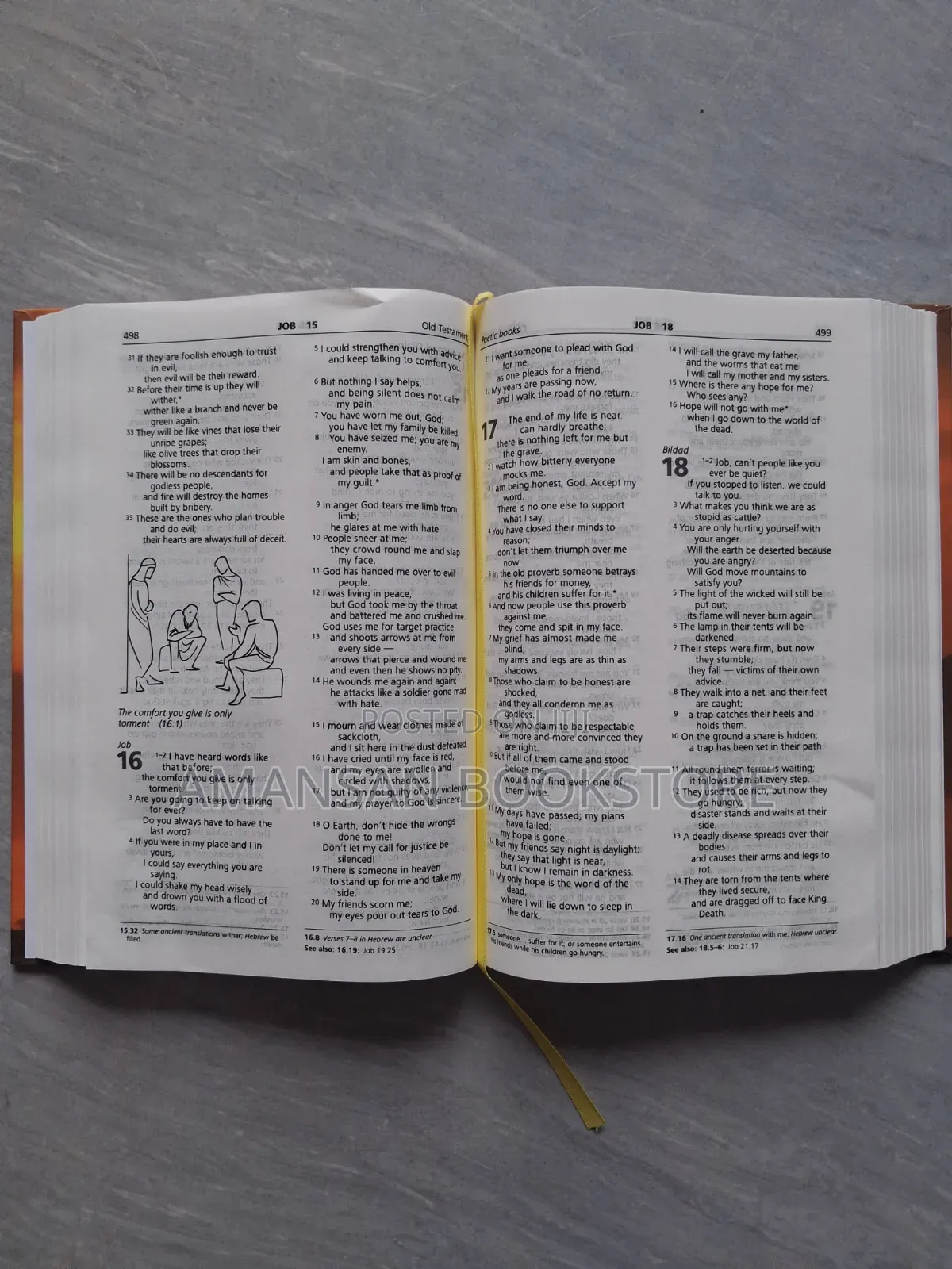 Illustrated Good News Bible With Words of Christ in Red (Medium)