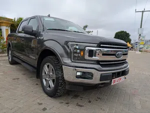 Ford F-150 2018 Gray