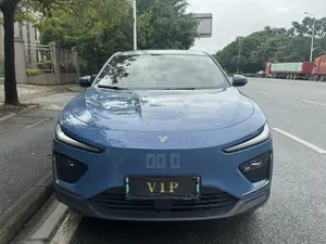 Aion V 2024 Blue