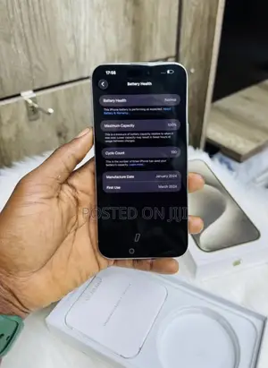 Apple iPhone 15 Pro Max 256 GB Silver