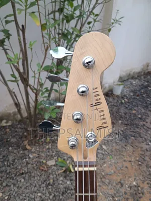 PhotoGenic JB- 240 4strings Bass Guitar Laney Richter RB2 Bass Combo