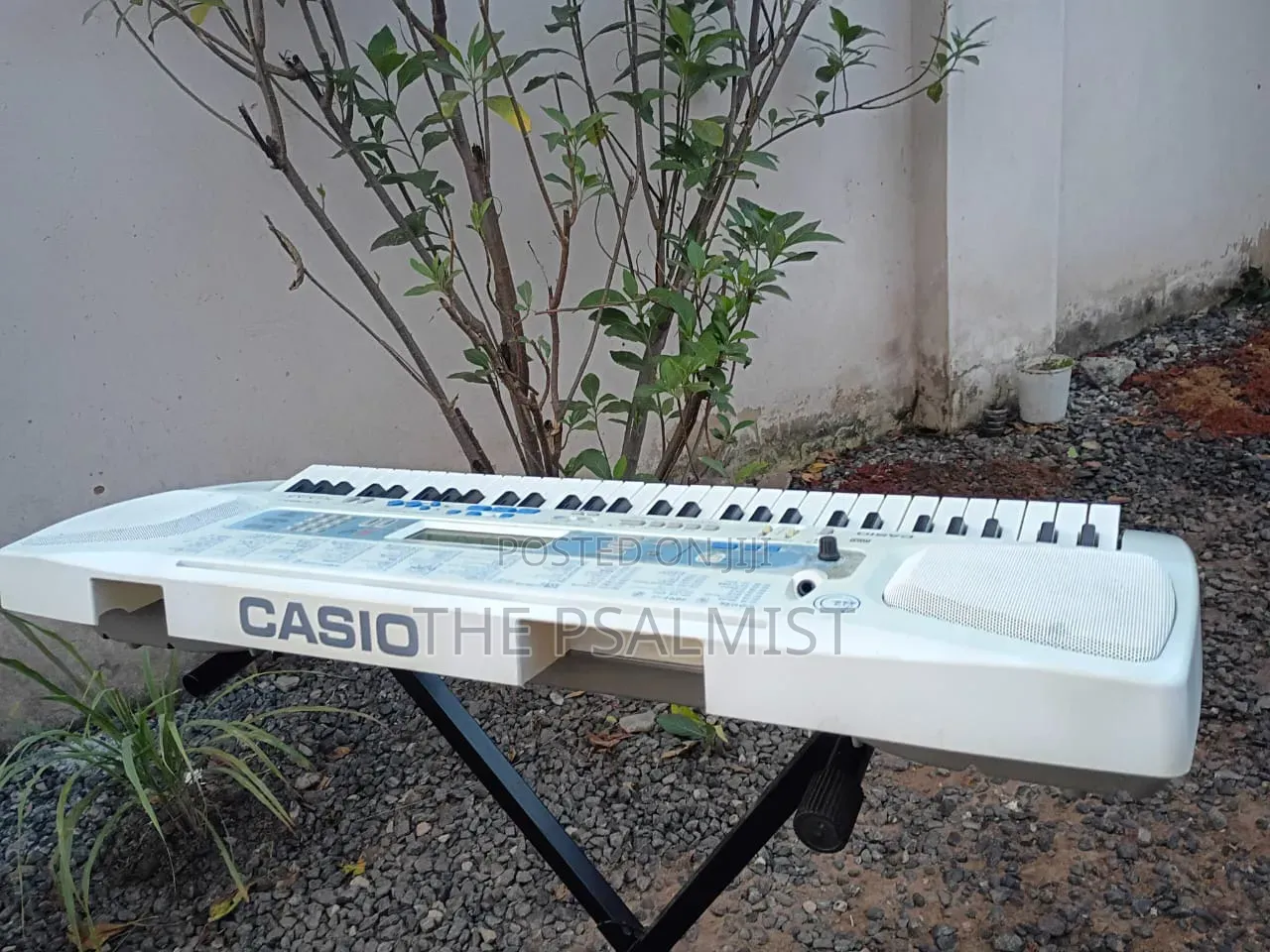 Casio LK 180 TV Has USB With an Adapter