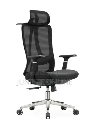 Ergonomic Quality Office Chair