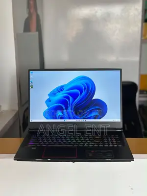 Laptop MSI GE75 Raider 10SE 16GB Intel Core i7 SSD 512GB