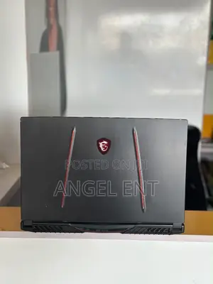 Laptop MSI GE75 Raider 10SE 16GB Intel Core i7 SSD 512GB