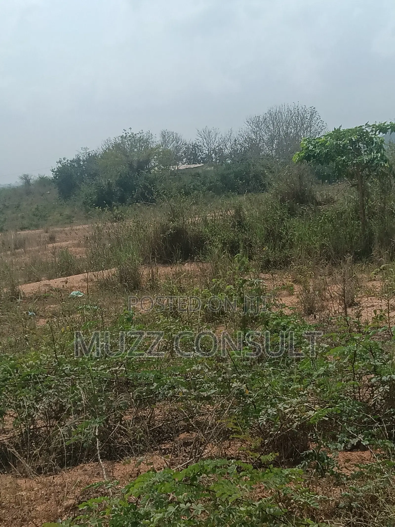 7 Plots of Lands in Kasoa Liberia Camp ( LOYE )