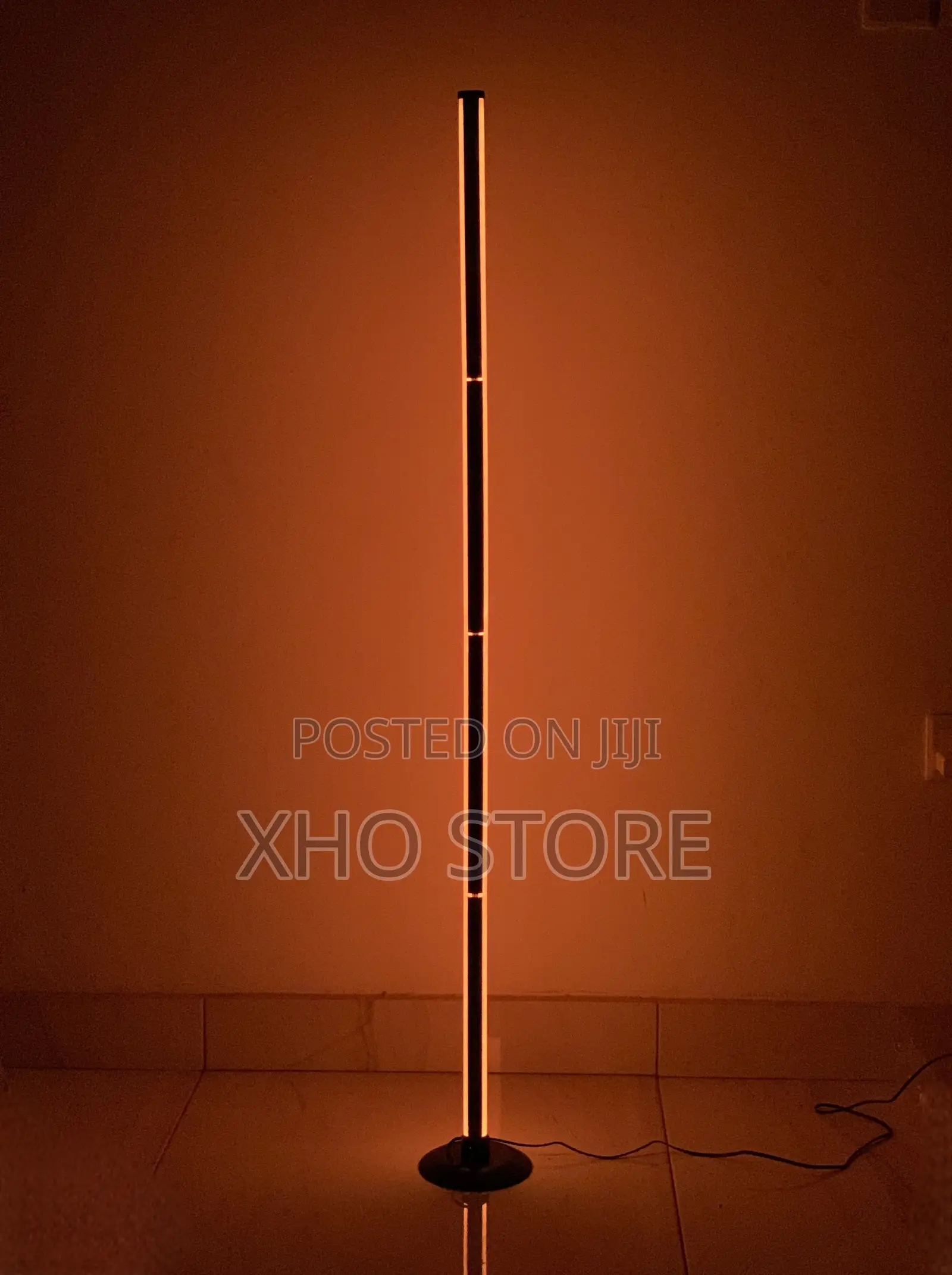 Smart RGB Ic Led Floor Lamp With App Remote Control, USB Interface