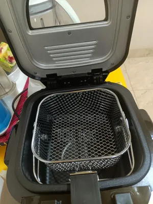 Electric Fryer