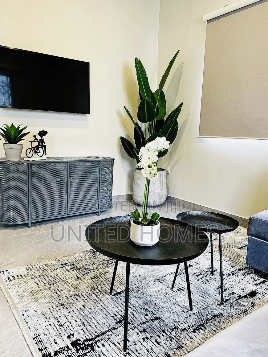 Furnished 1bdrm Apartment in Cantonments for rent