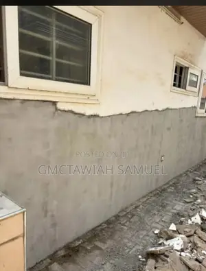 Professional Dampness Solution Guy