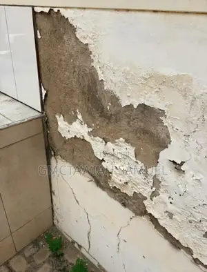 Professional Dampness Solution Guy