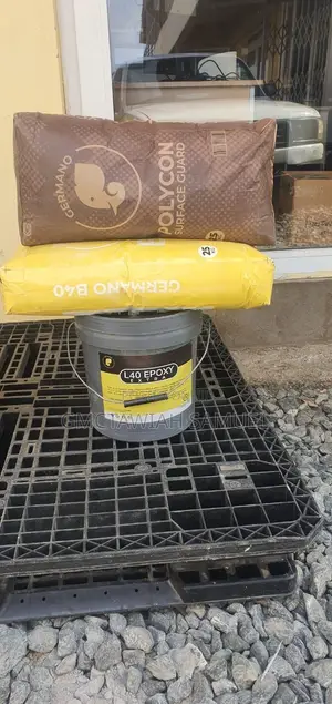 Professional Dampness Solution Guy