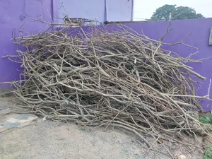 Fire Wood for Sale