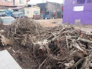 Fire Wood for Sale