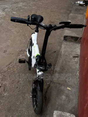Electric Bike