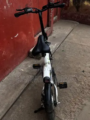 Electric Bike
