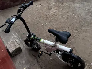 Electric Bike
