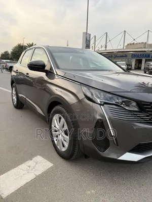 Peugeot 3008 2023 Gray