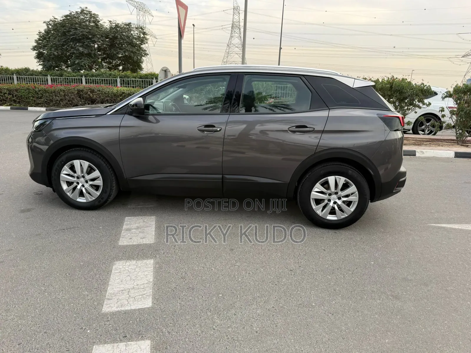 Peugeot 3008 2023 Gray