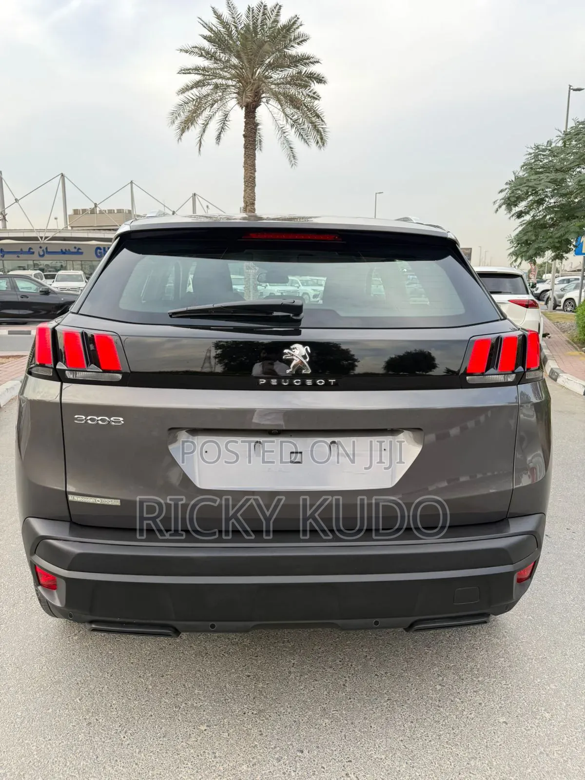 Peugeot 3008 2023 Gray