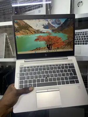 Laptop HP EliteBook 735 G6 8GB AMD Ryzen 5 SSD 256GB