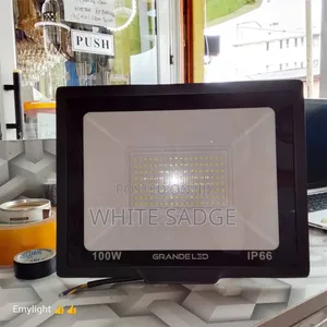 100W Flood Light