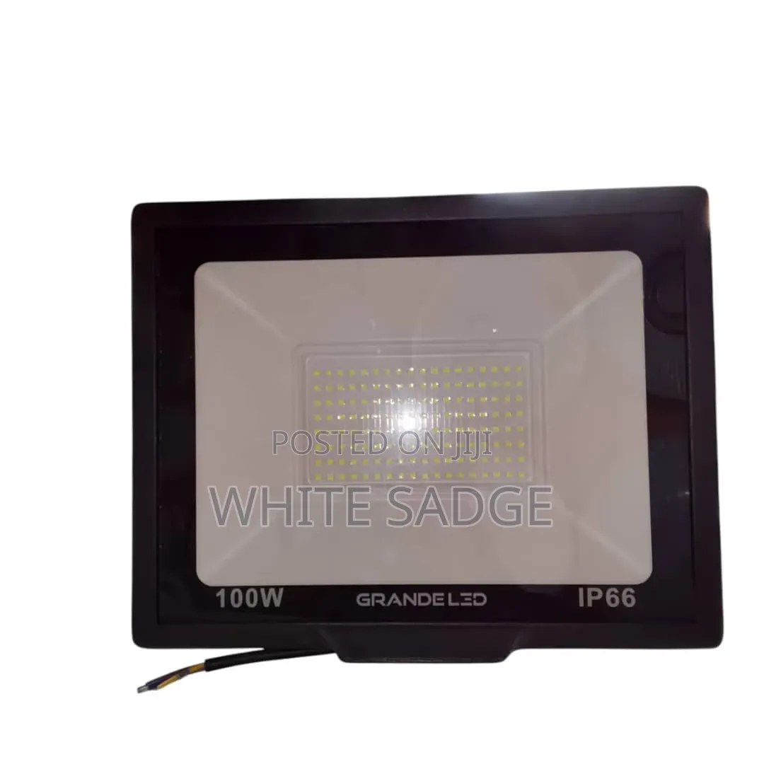 100W Flood Light