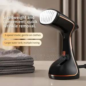 Hand Held Steam Iron