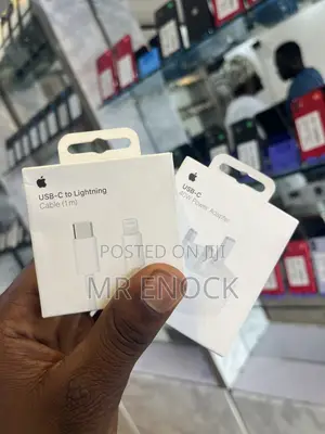 Genuine Apple Charger Head Cable