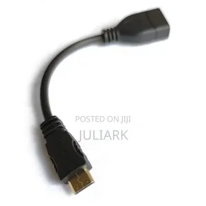 Mini HDMI Adapter