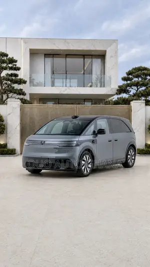 Zeekr Mix 2025 Gray