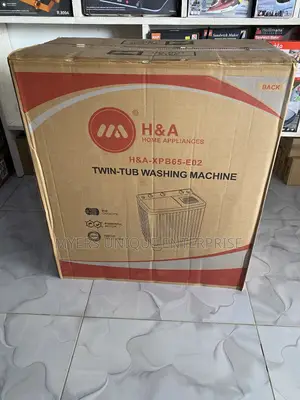 220V Twin Tub Washing Machine - Plug and Use