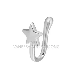 Nice Silver Nose Ring