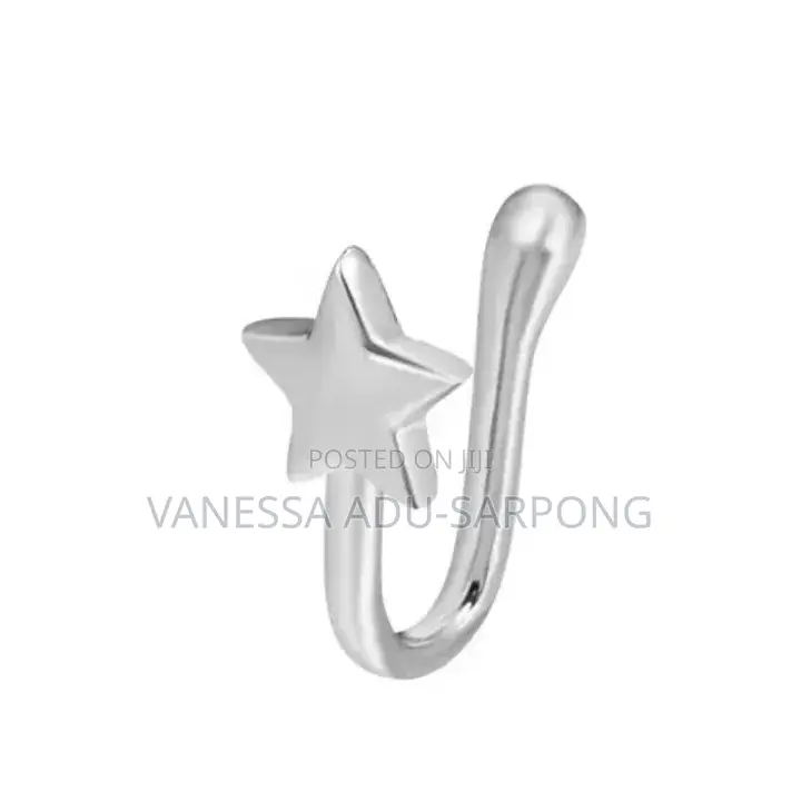Nice Silver Nose Ring