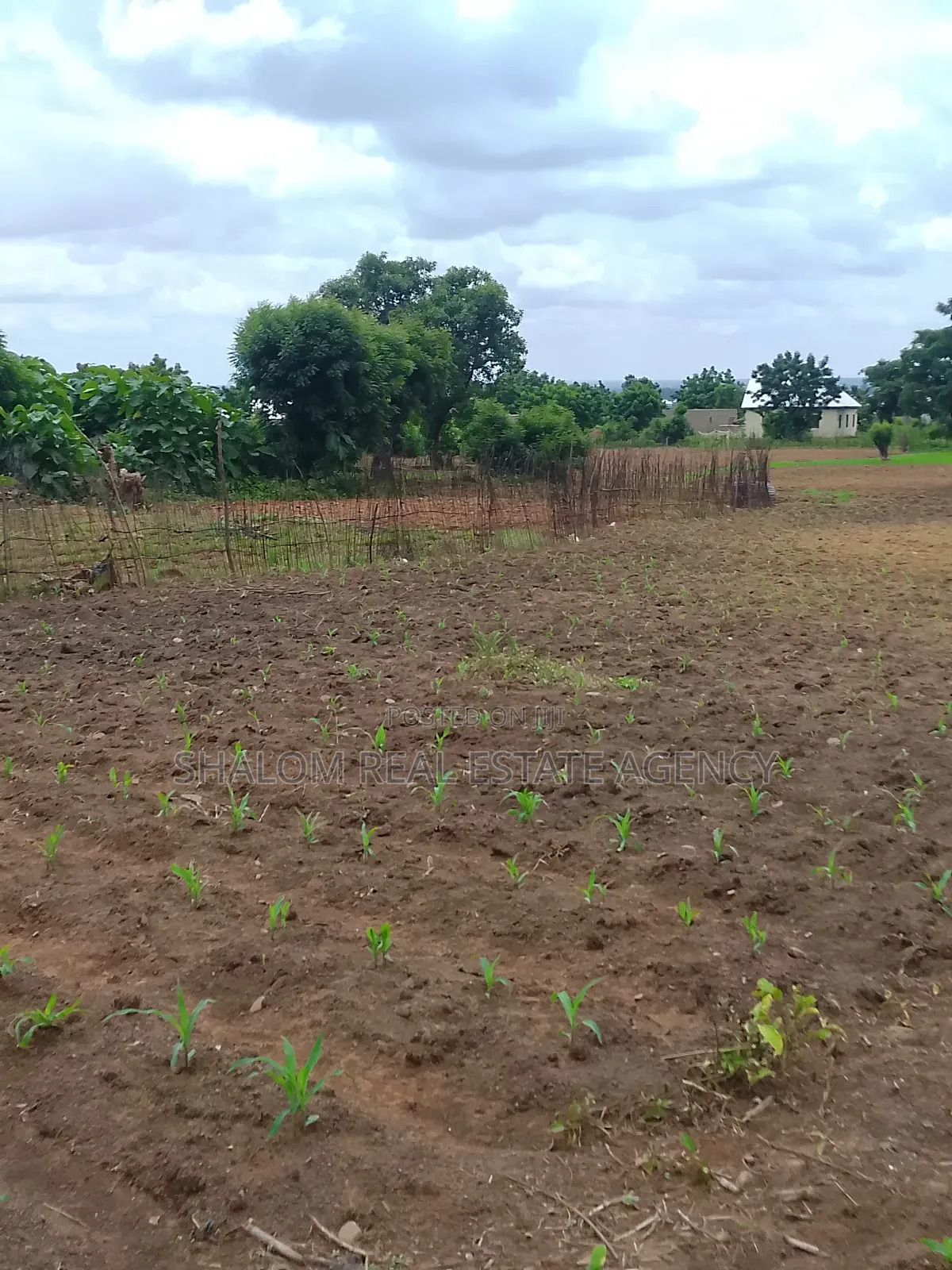 A Plot of Land at Tampion-Kukuo Near the Bi-Water Tank for Sale