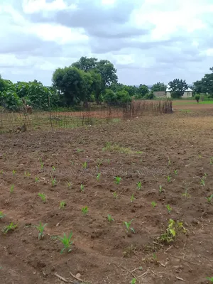 A Plot of Land at Tampion-Kukuo Near the Bi-Water Tank for Sale