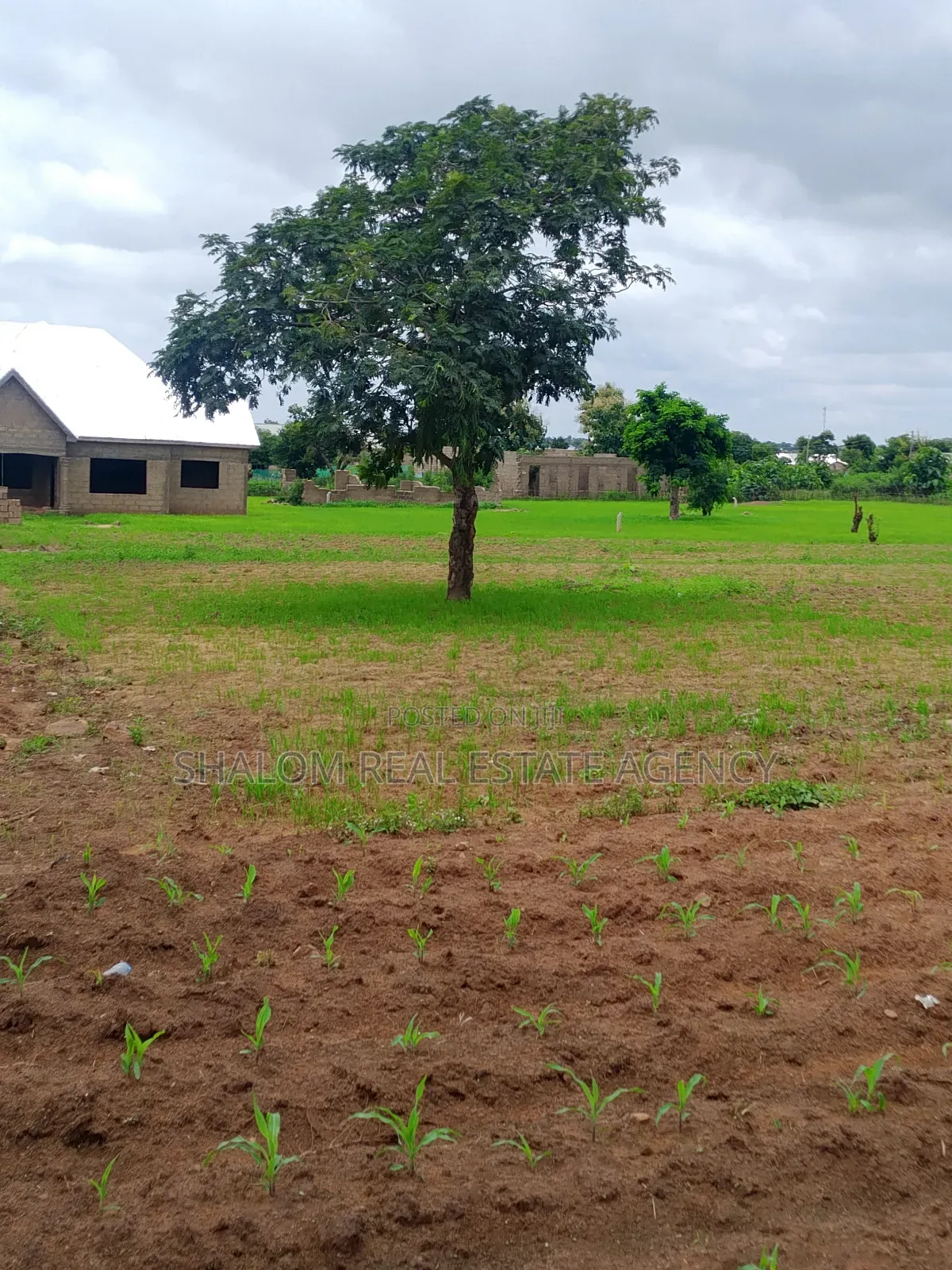 A Plot of Land at Tampion-Kukuo Near the Bi-Water Tank for Sale