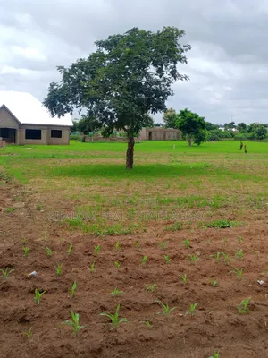 A Plot of Land at Tampion-Kukuo Near the Bi-Water Tank for Sale
