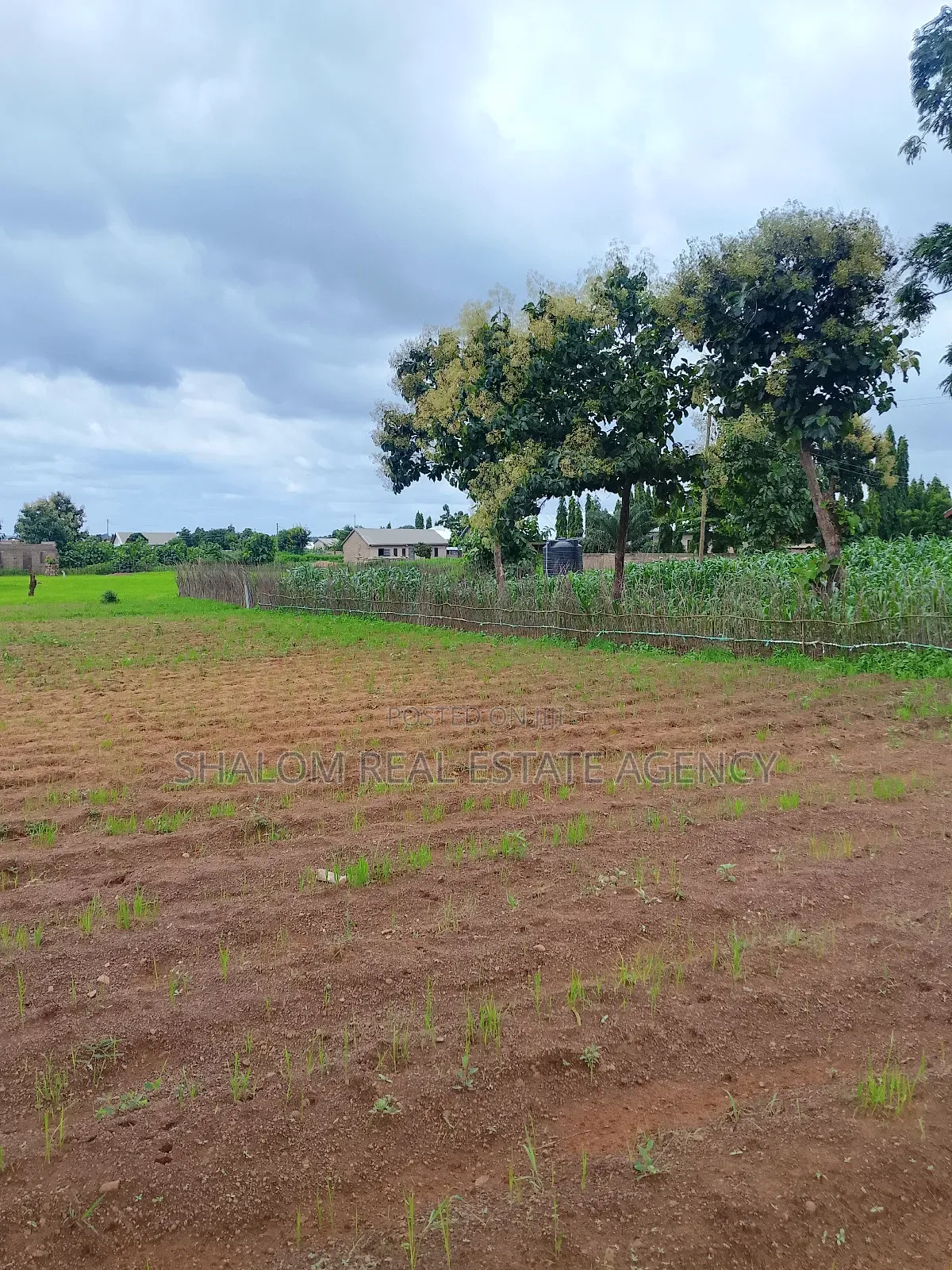 A Plot of Land at Tampion-Kukuo Near the Bi-Water Tank for Sale