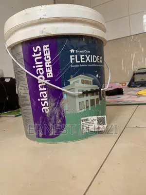 Waterproof and Dump Proof Paint