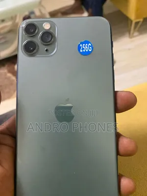 Apple iPhone 12 Pro Max 256 GB Silver