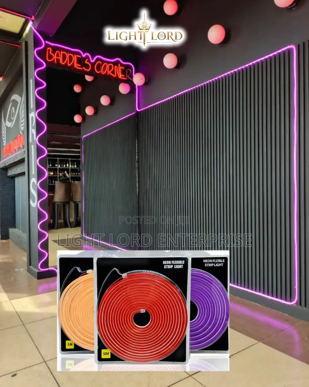 12V 5meters Neon Light