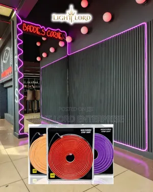 12V 5meters Neon Light