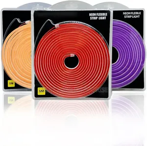 12V 5meters Neon Light
