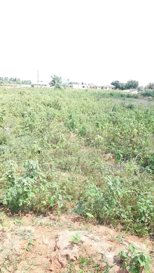 8 Plots of Land for Sale at Adzidotoe
