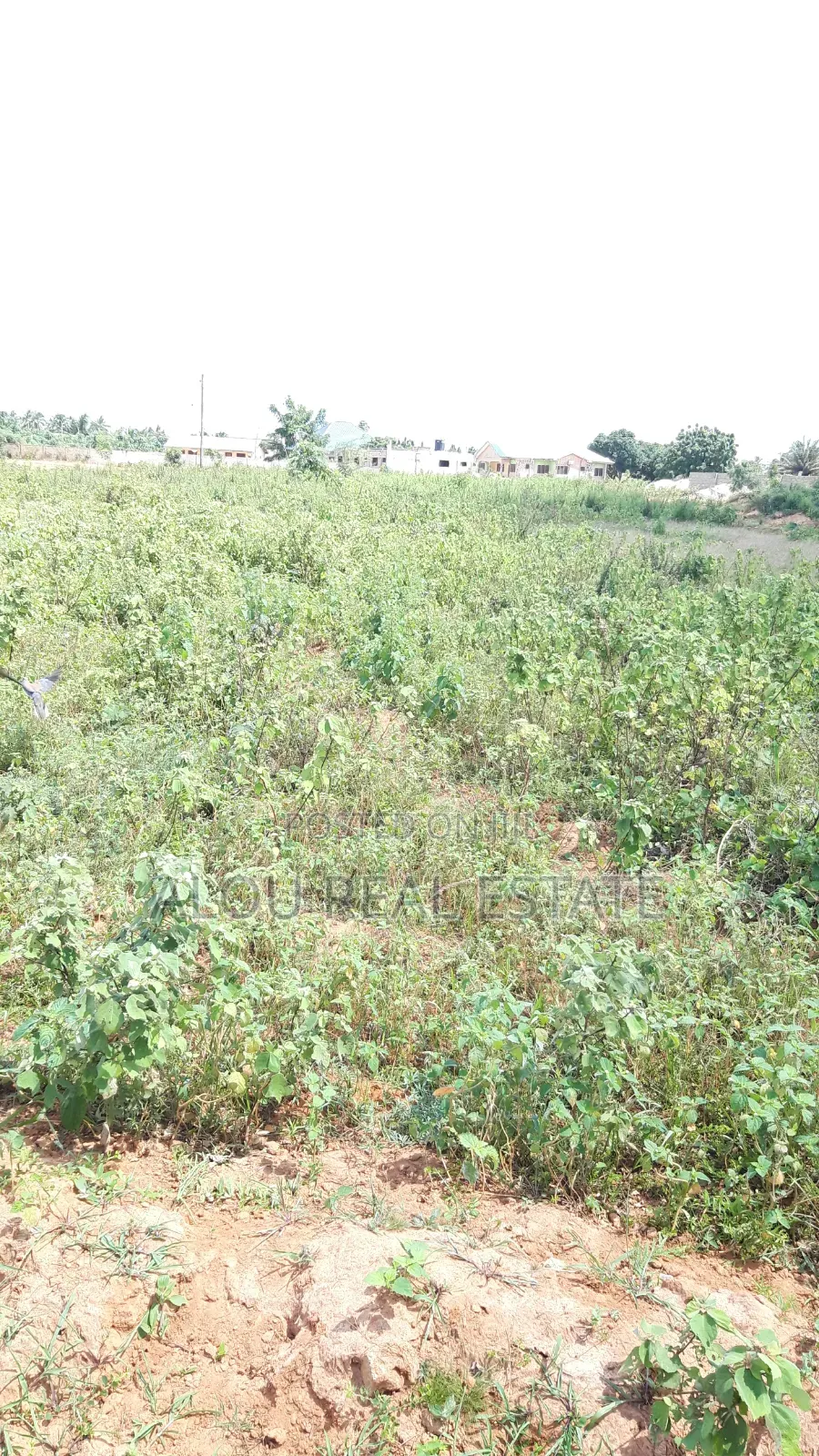 8 Plots of Land for Sale at Adzidotoe