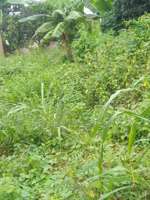 Land for Sale at Ofankor-Asofan