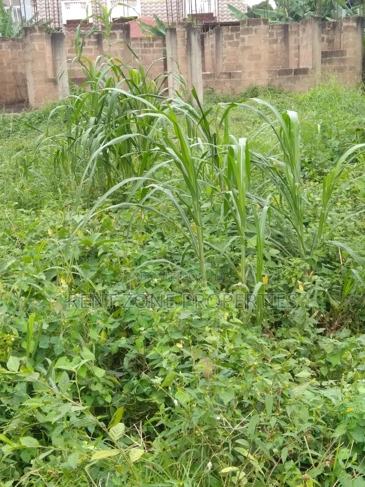 Land for Sale at Ofankor-Asofan