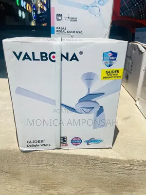 Ceiling Fan